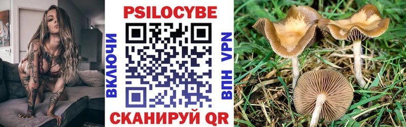 omg ссылка  Тольятти  это официальный сайт  Галлюциногенные грибы GOLDEN TEACHER 