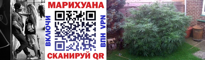 omg маркетплейс  Тольятти  Бошки марихуана SATIVA & INDICA 